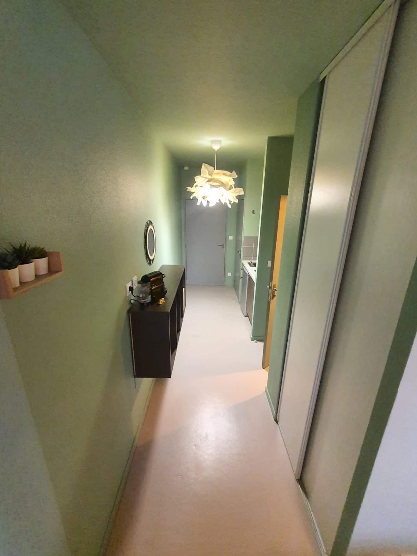 L'Orée du Parc, Lyon : couloir d'entrée